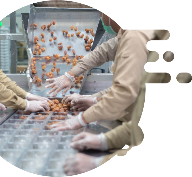 الجمعية التعاونية تسويق وتصدير التمور ومشتقاتها