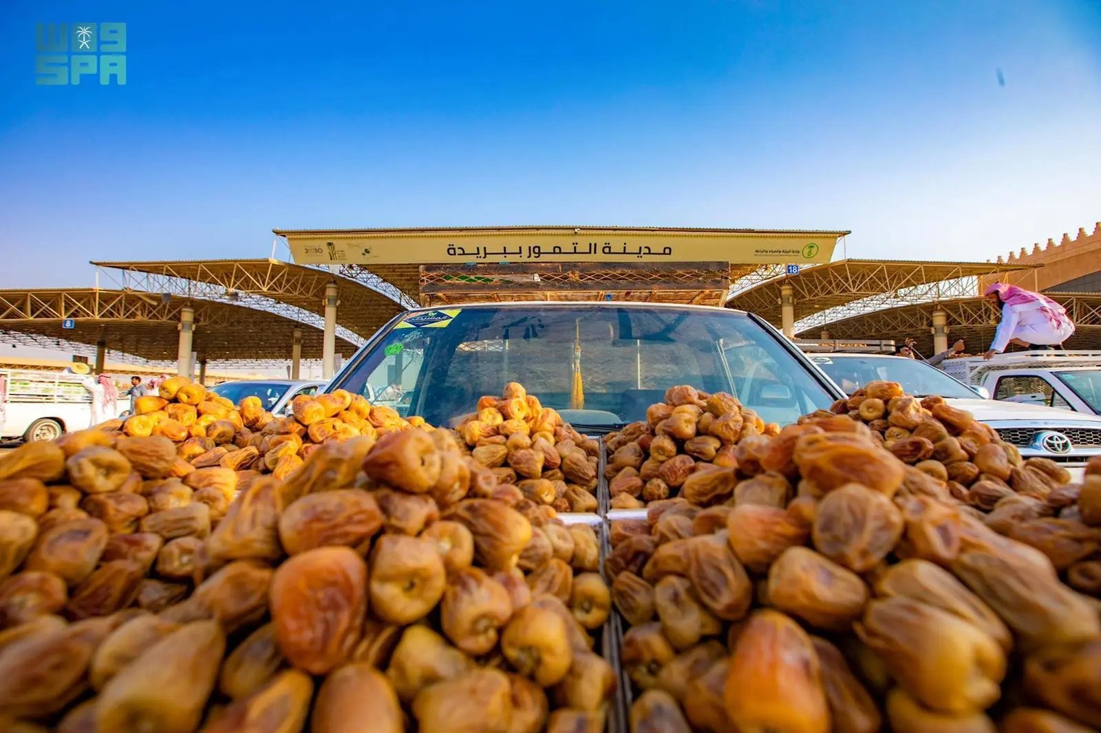 كرنفال التمور في بريدة ينطلق لتصدير 35٪ من تمور المملكة