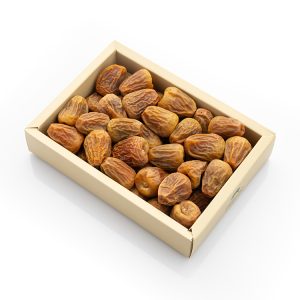 سكري القصيم مفتل فاخر